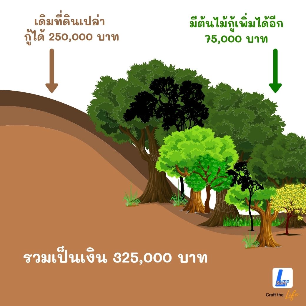 การประเมินราคาต้นไม้ตรงนี้ เพื่อนำมาค้ำประกันเงินกู้(สินเชื่อ) จากเดิมเขาไม่ได้นำมาคิดเป็นราคาหลักทรัพย์หรือมีวิธีประเมินแบบนี้มาก่อน ต้นไม้ 58 ชนิด ใช้เป็นหลักทรัพย์ขอสินเชื่อได้