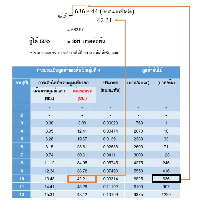 การประเมินมูลค่าต้นไม้ การวัดขนาดต้นไม้ และการประเมินราคาต้นไม้ ต้นไม้ 58 ชนิด ใช้เป็นหลักทรัพย์ขอสินเชื่อได้