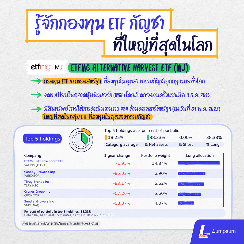 รู้จักกองทุน ETF กัญชาที่ใหญ่ที่สุดในโลก ลงทุนกัญชาผ่านกองทุนรวม