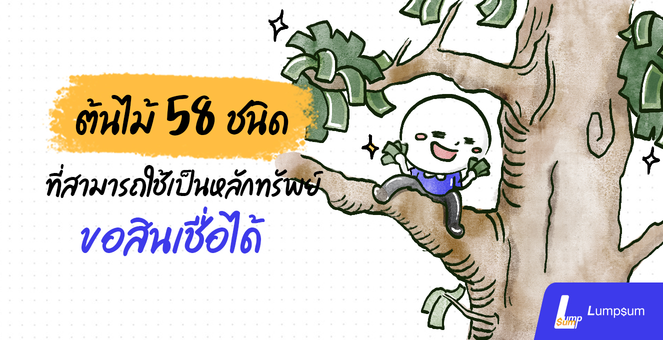 ต้นไม้ 58 ชนิด ใช้เป็นหลักทรัพย์ขอสินเชื่อได้